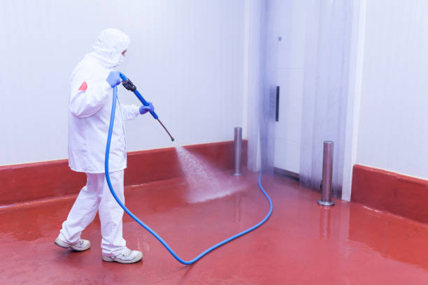Best Solar Panel Cleaning  in Fairland, OK